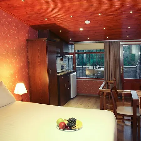 苏丹阿合麦特套房酒店 酒店 4*