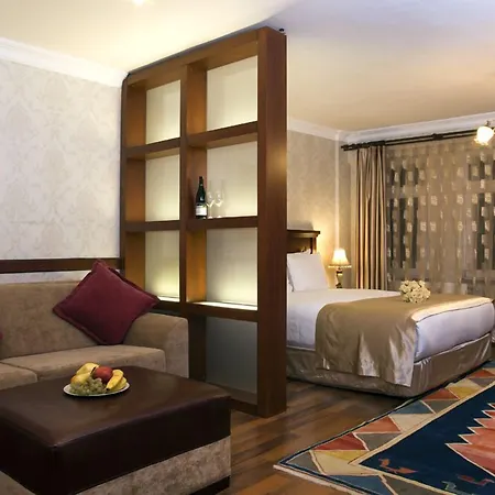 苏丹阿合麦特套房酒店 酒店 伊斯坦布尔